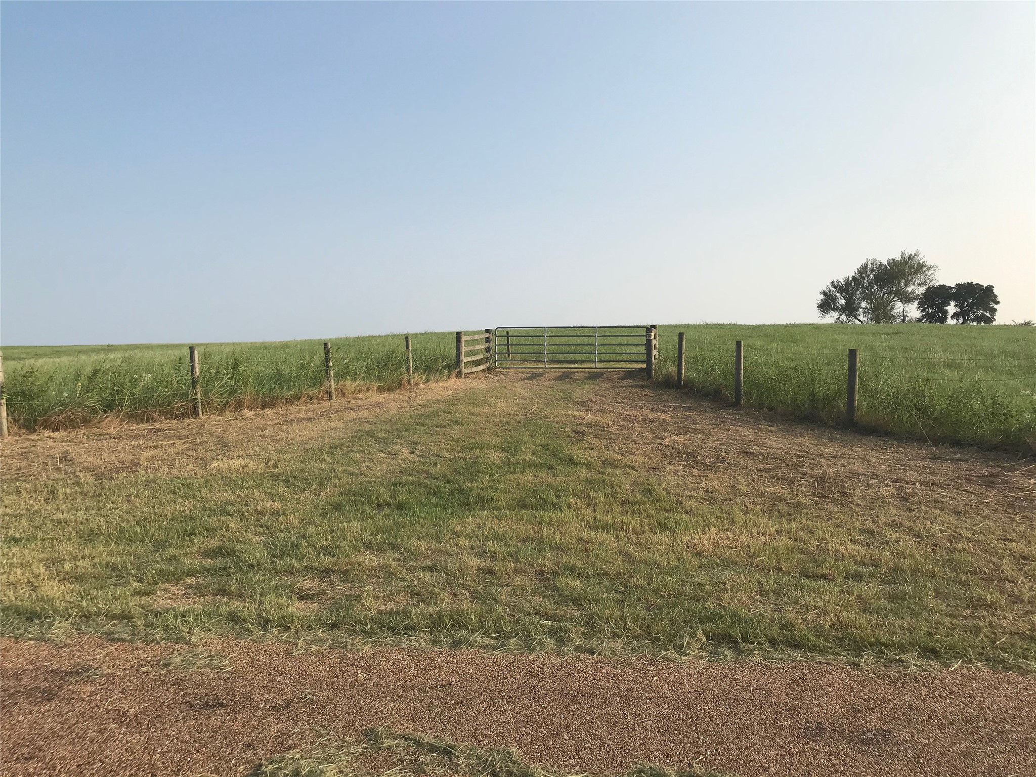 a view of a field with an trees