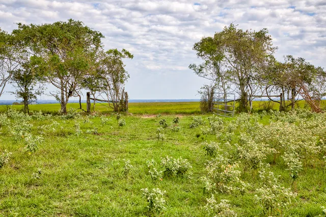 a backyard of a house with lots of green space