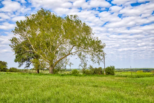 a backyard of a house with lots of green space