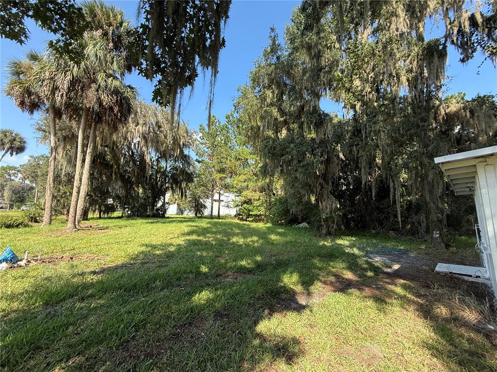 102 Possum Hollow Road Georgetown, FL 32139 - Photo 11 of 24 a view of a trees in a yard