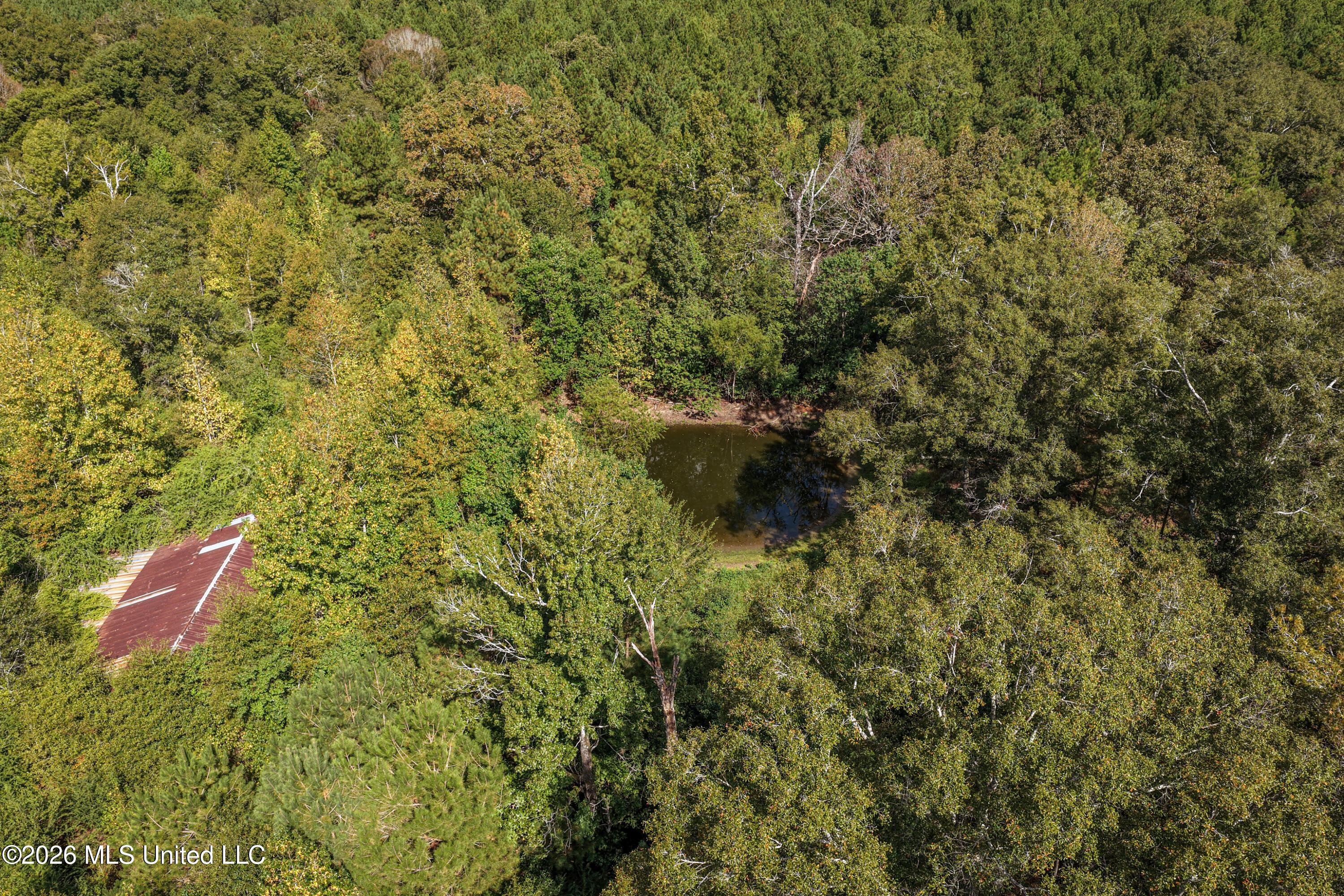 Allen Lane Magnolia, MS 39652 - Photo 2 of 21 DJI_20261002104827_0139_D