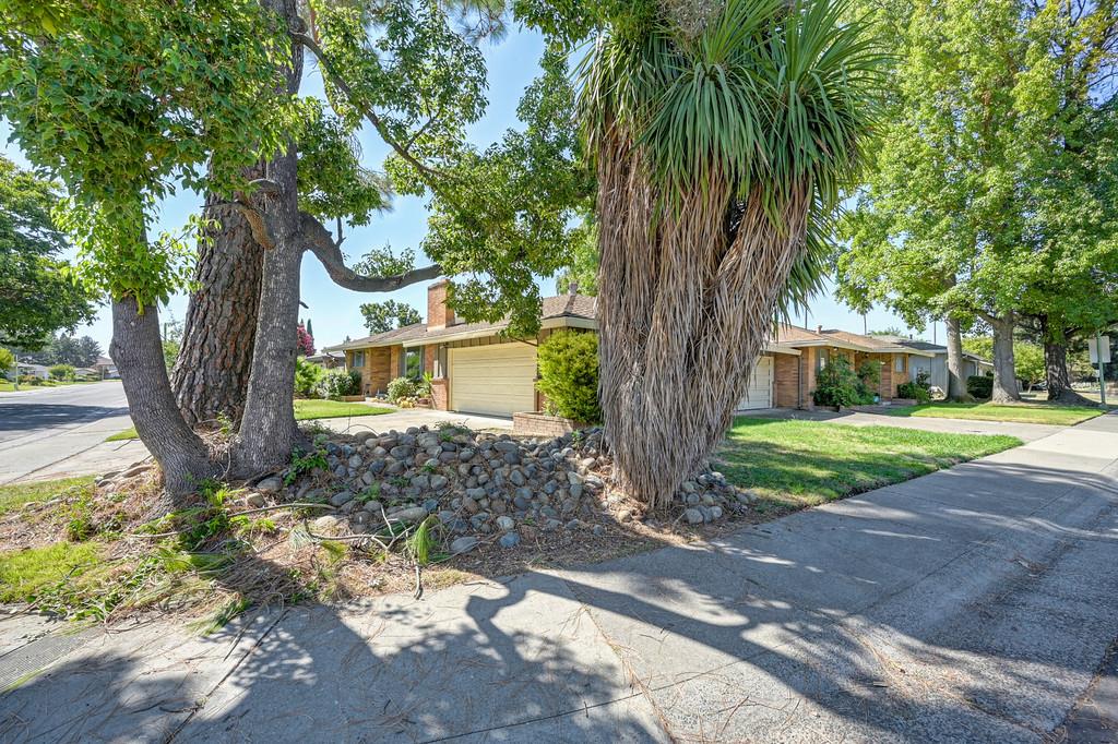 310 Bello Rio Way Sacramento, CA 95831 - Photo 35 of 62 Gallery Image 35