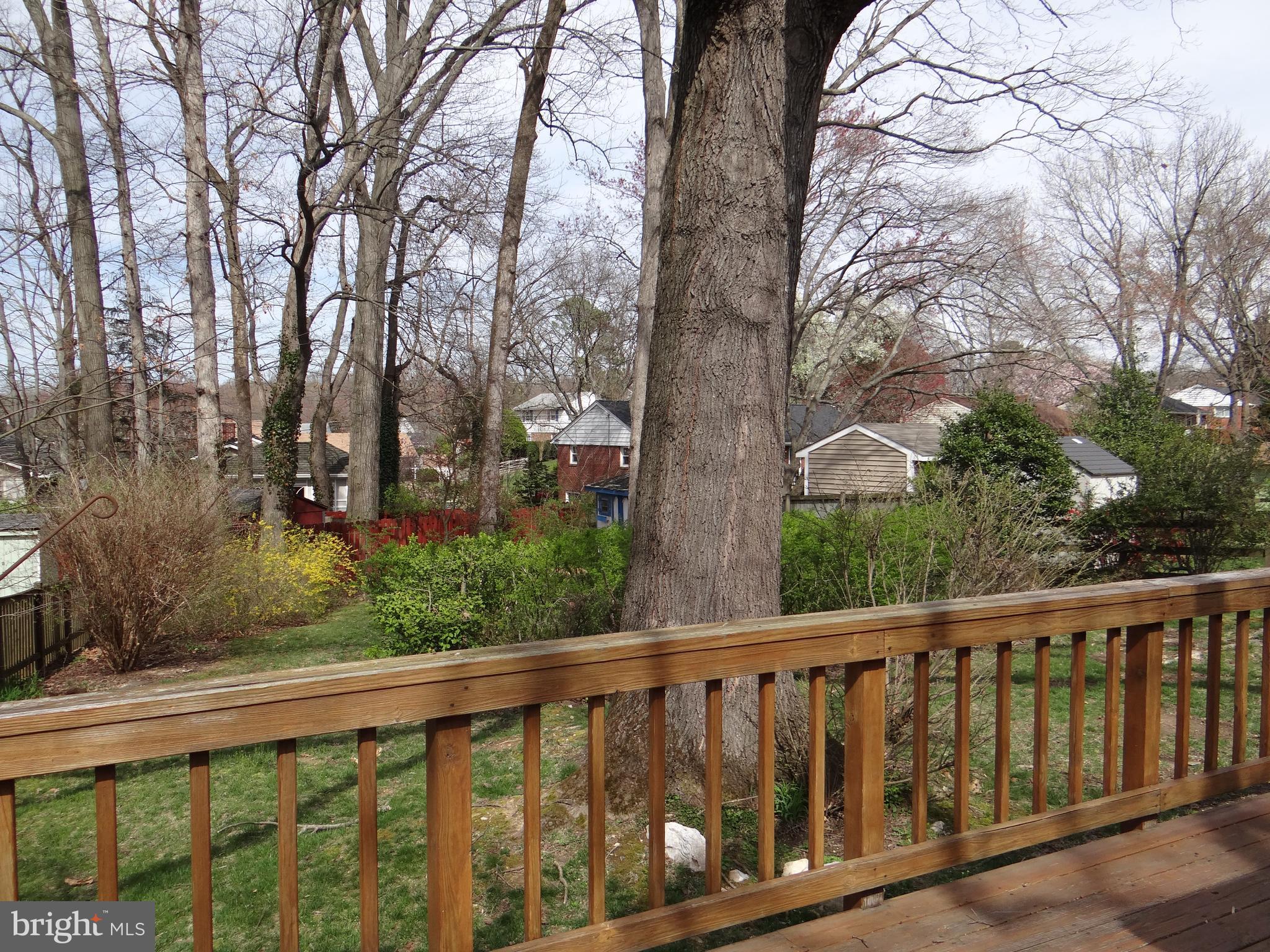 8138 Drayton Lane Springfield, VA 22151 - Photo 21 of 22 Backyard