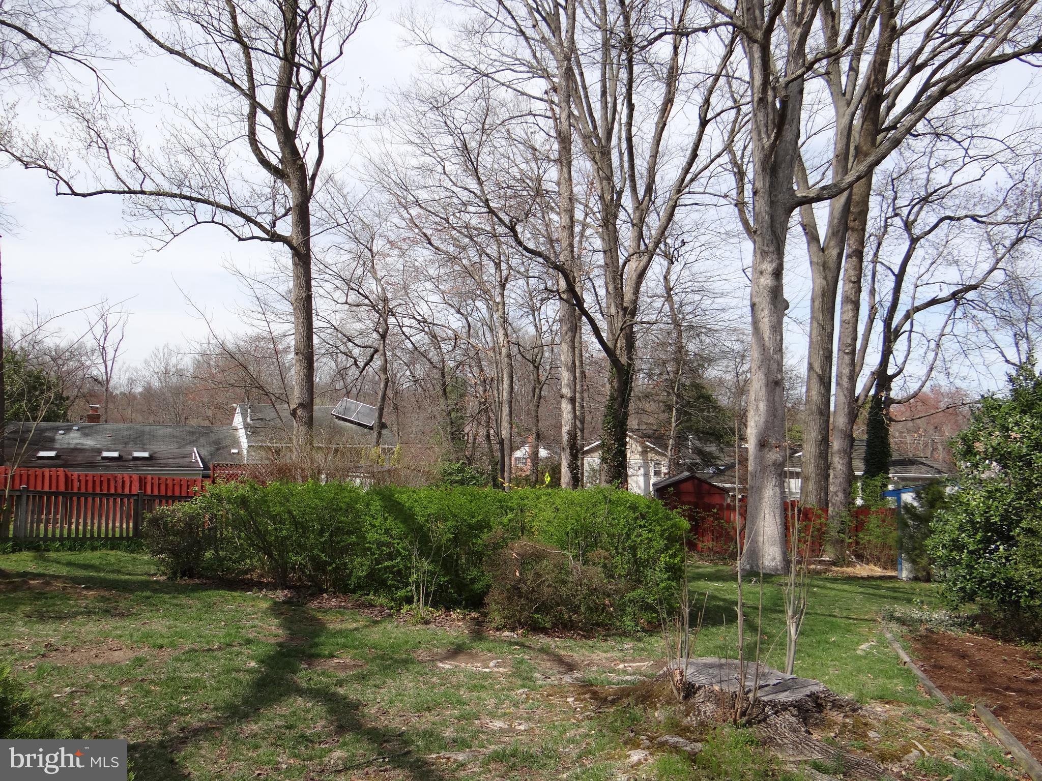 8138 Drayton Lane Springfield, VA 22151 - Photo 22 of 22 Backyard