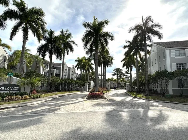 a view of a park with palm trees