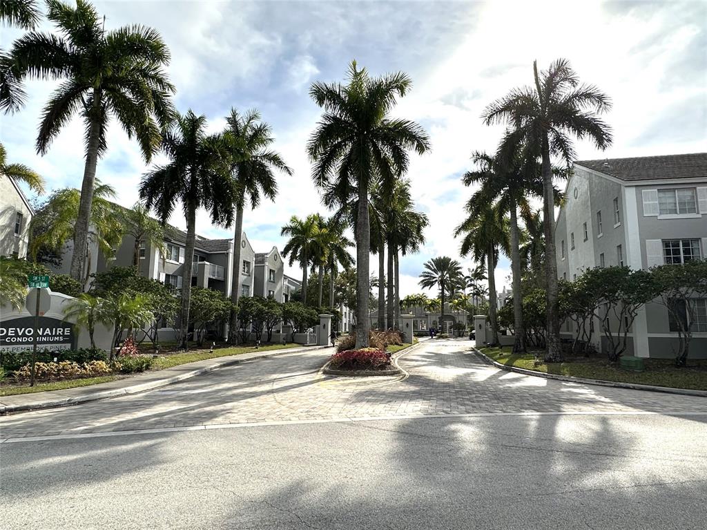 a view of a park with palm trees