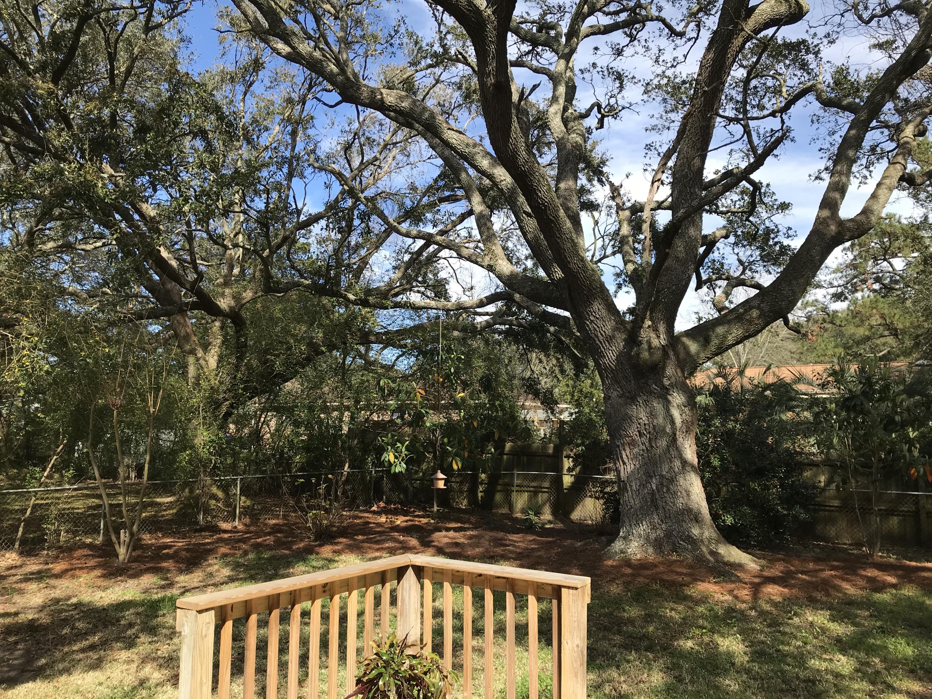 55 Boardman Road Charleston, SC 29407 - Photo 26 of 27 Majestic Oaks