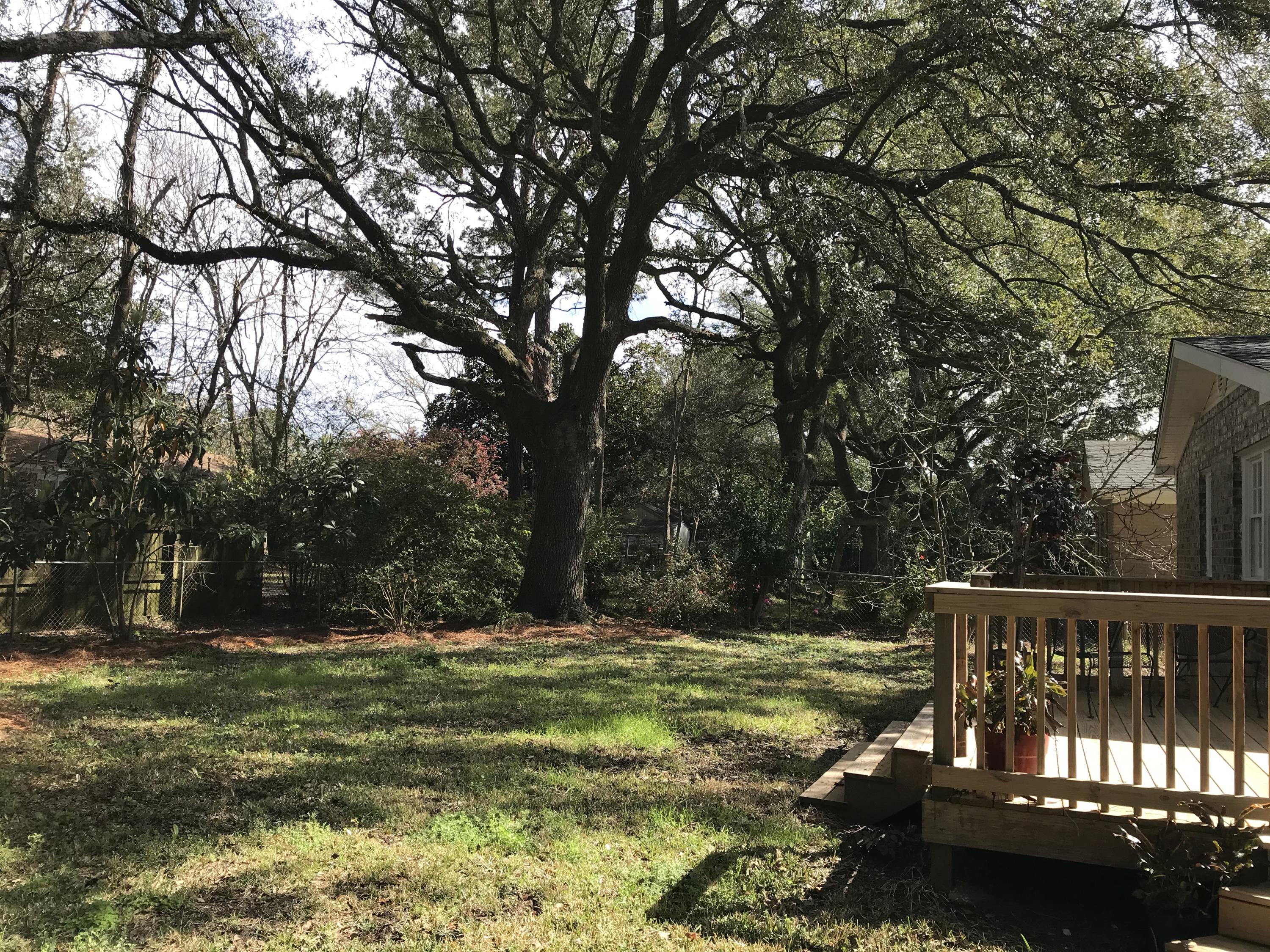 55 Boardman Road Charleston, SC 29407 - Photo 5 of 27 Beautiful back Yard