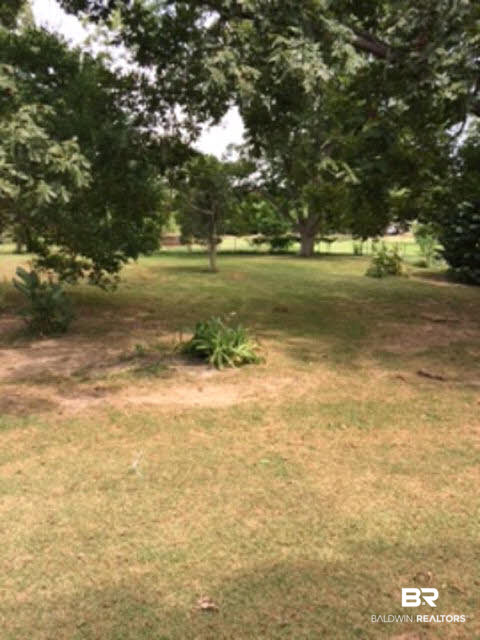 45780 Red Hill Road Bay Minette, AL 36507 - Photo 3 of 7 Back Yard
