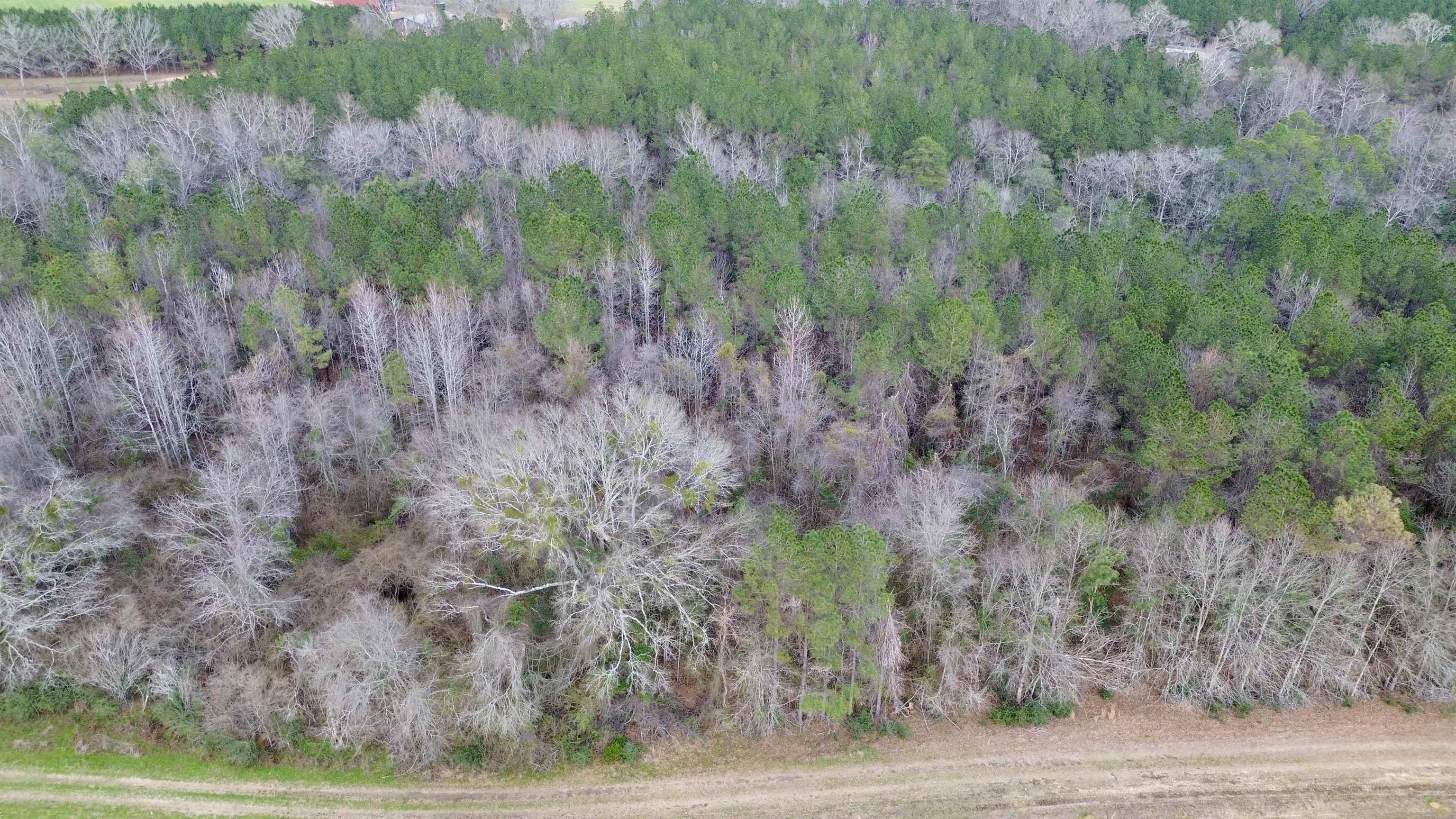 0 James Brooks Road Atmore, AL 36502 - Photo 13 of 16 Aerial View