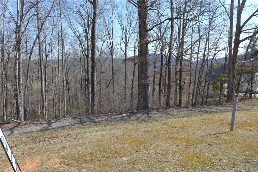 Lot 38 South Hampton Road, Unit 38 Brevard, NC 28712 - Photo 1 of 7 Gallery Image 1