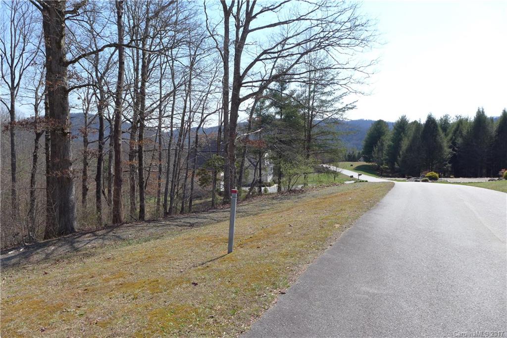 Lot 38 South Hampton Road, Unit 38 Brevard, NC 28712 - Photo 2 of 7 Gallery Image 2