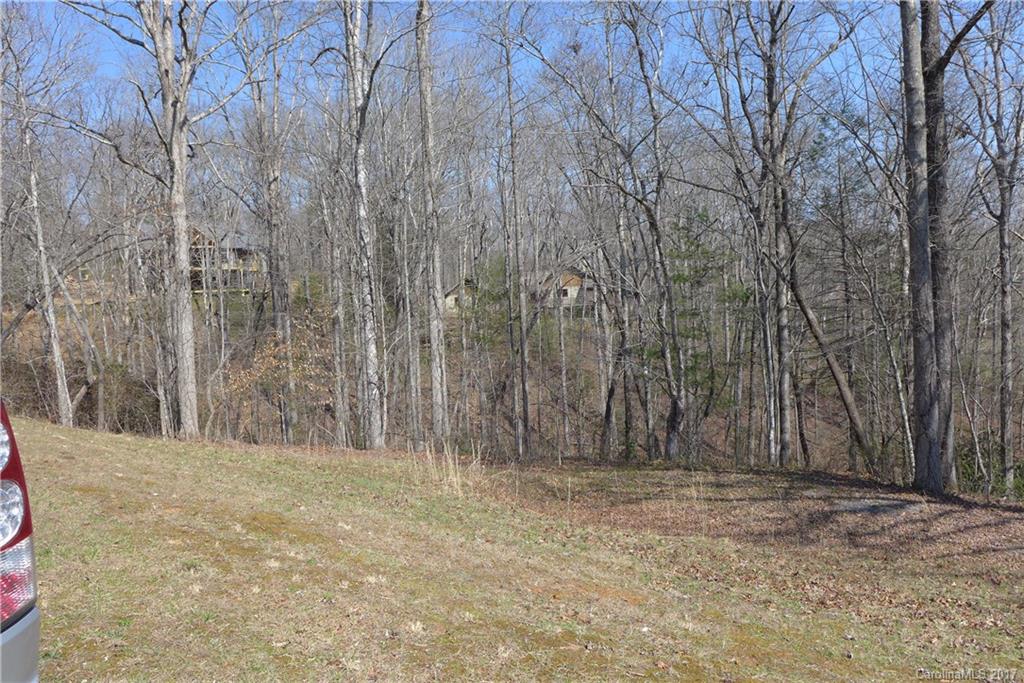 Lot 38 South Hampton Road, Unit 38 Brevard, NC 28712 - Photo 3 of 7 Gallery Image 3