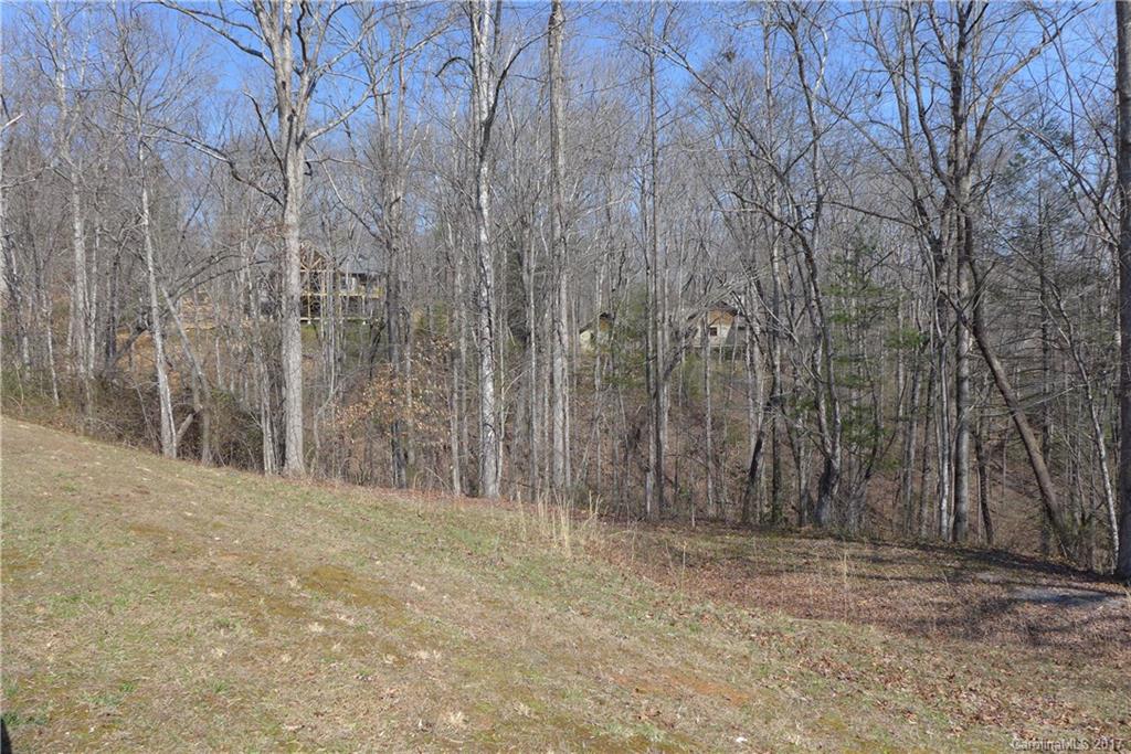 Lot 38 South Hampton Road, Unit 38 Brevard, NC 28712 - Photo 4 of 7 Gallery Image 4