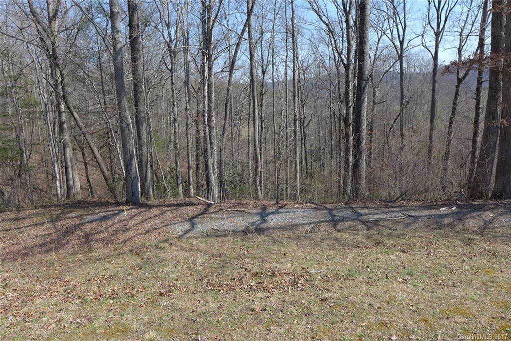 Lot 38 South Hampton Road, Unit 38 Brevard, NC 28712 - Photo 5 of 7 Gallery Image 5