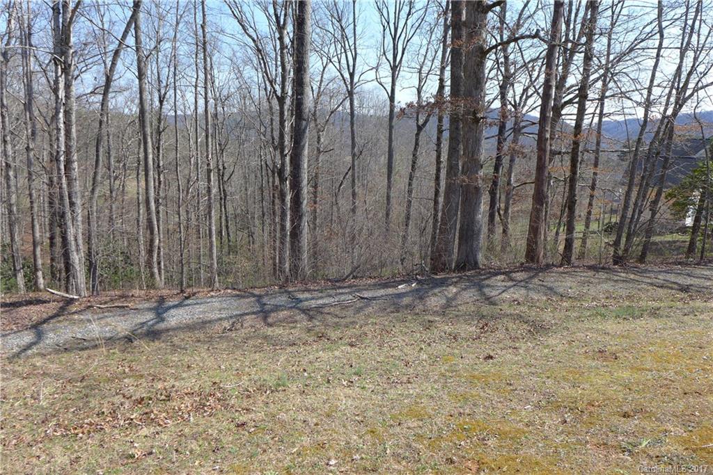 Lot 38 South Hampton Road, Unit 38 Brevard, NC 28712 - Photo 6 of 7 Gallery Image 6