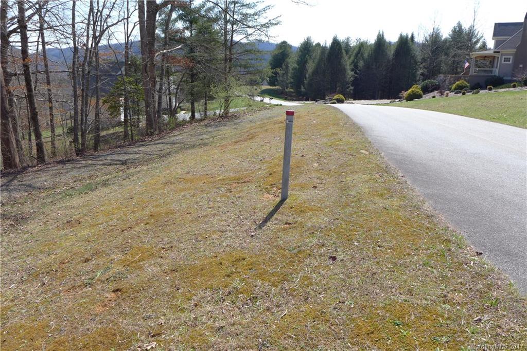 Lot 38 South Hampton Road, Unit 38 Brevard, NC 28712 - Photo 7 of 7 Gallery Image 7