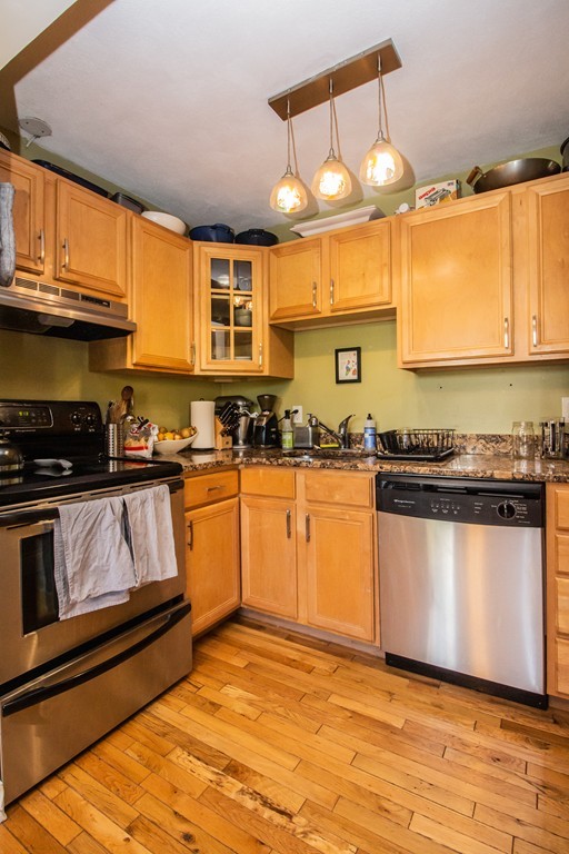 4 Alfred Street, Unit 2 Boston, MA 02130 - Photo 7 of 19 Gallery Image 7
