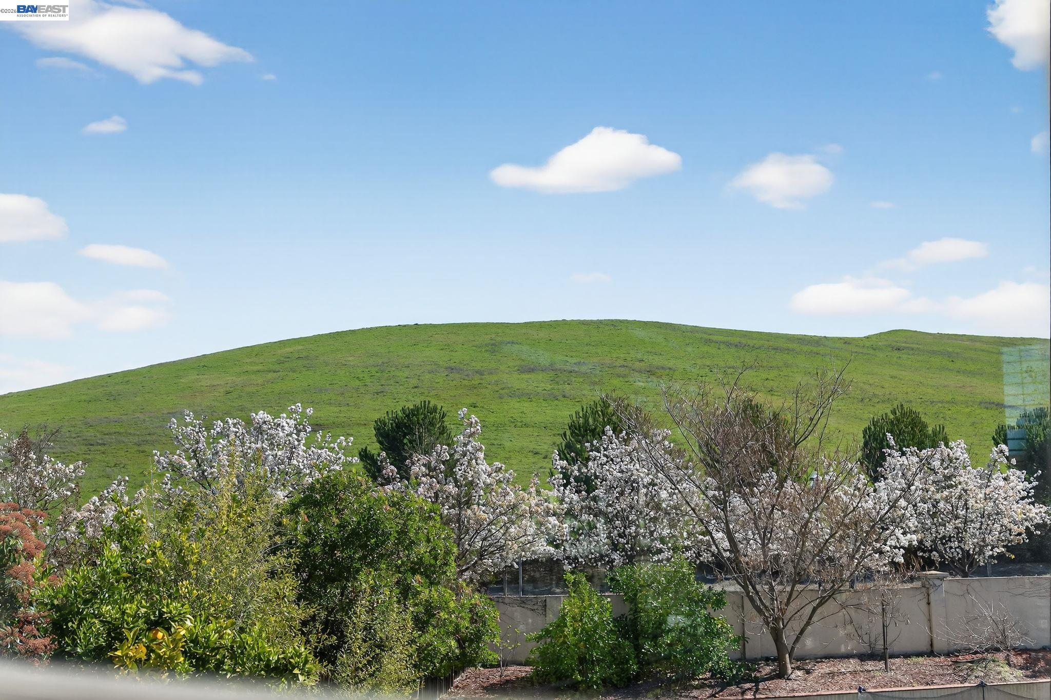 257 Wimbledon Court San Ramon, CA 94582 - Photo 4 of 60