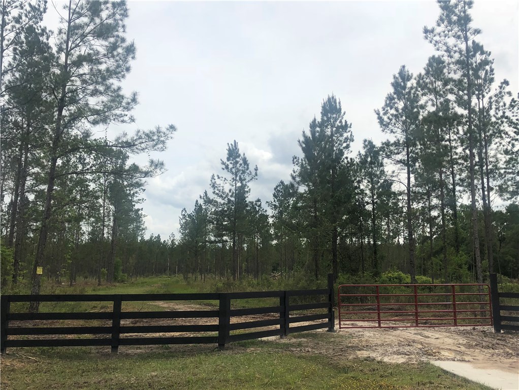 Lot 1 River Road Hilliard, FL 32046 - Photo 1 of 1 Gallery Image 1