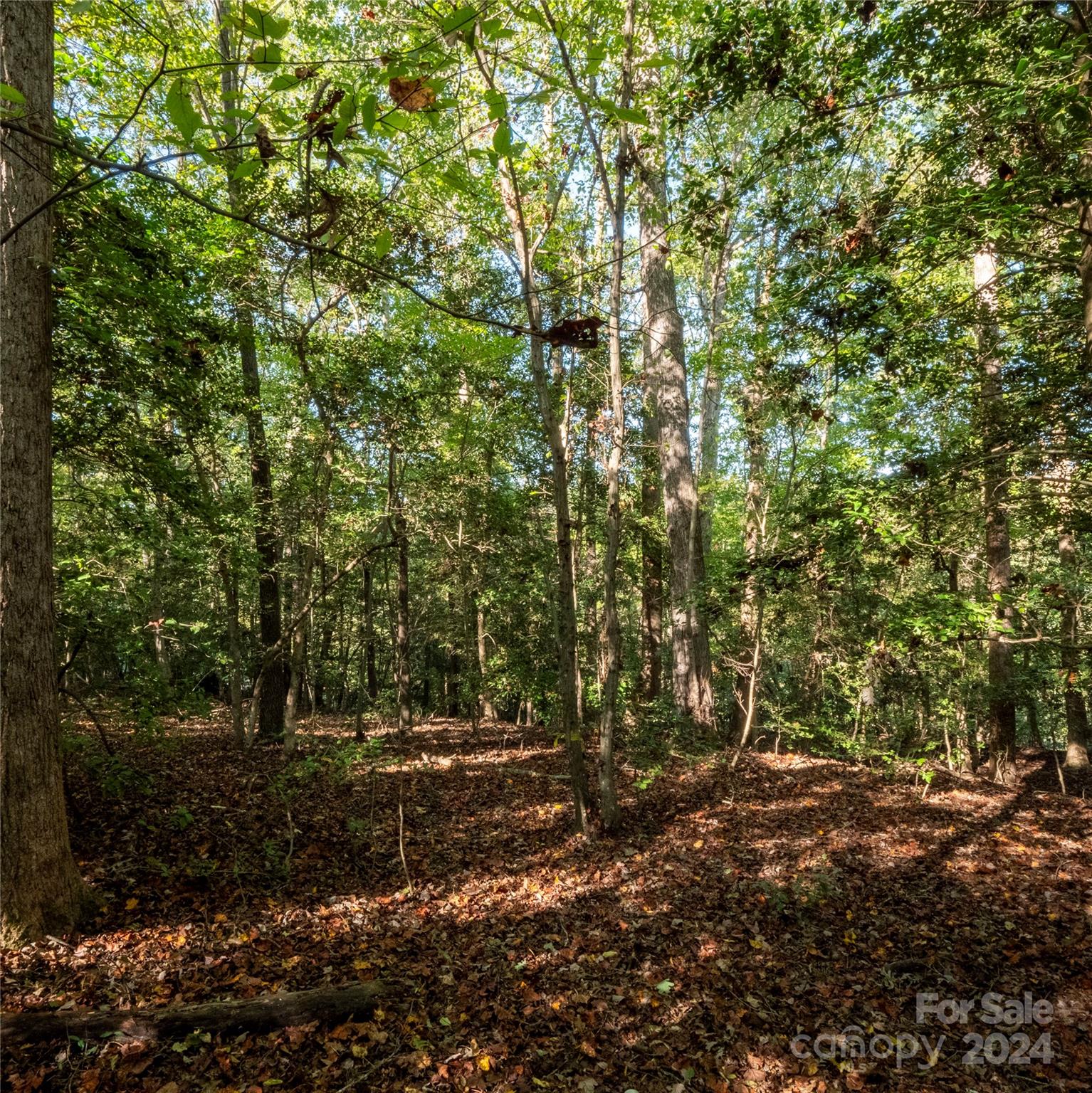 0 Fox Ridge Lane, Unit 17 & 18 Hickory, NC 28601 - Photo 6 of 19 Gallery Image 6