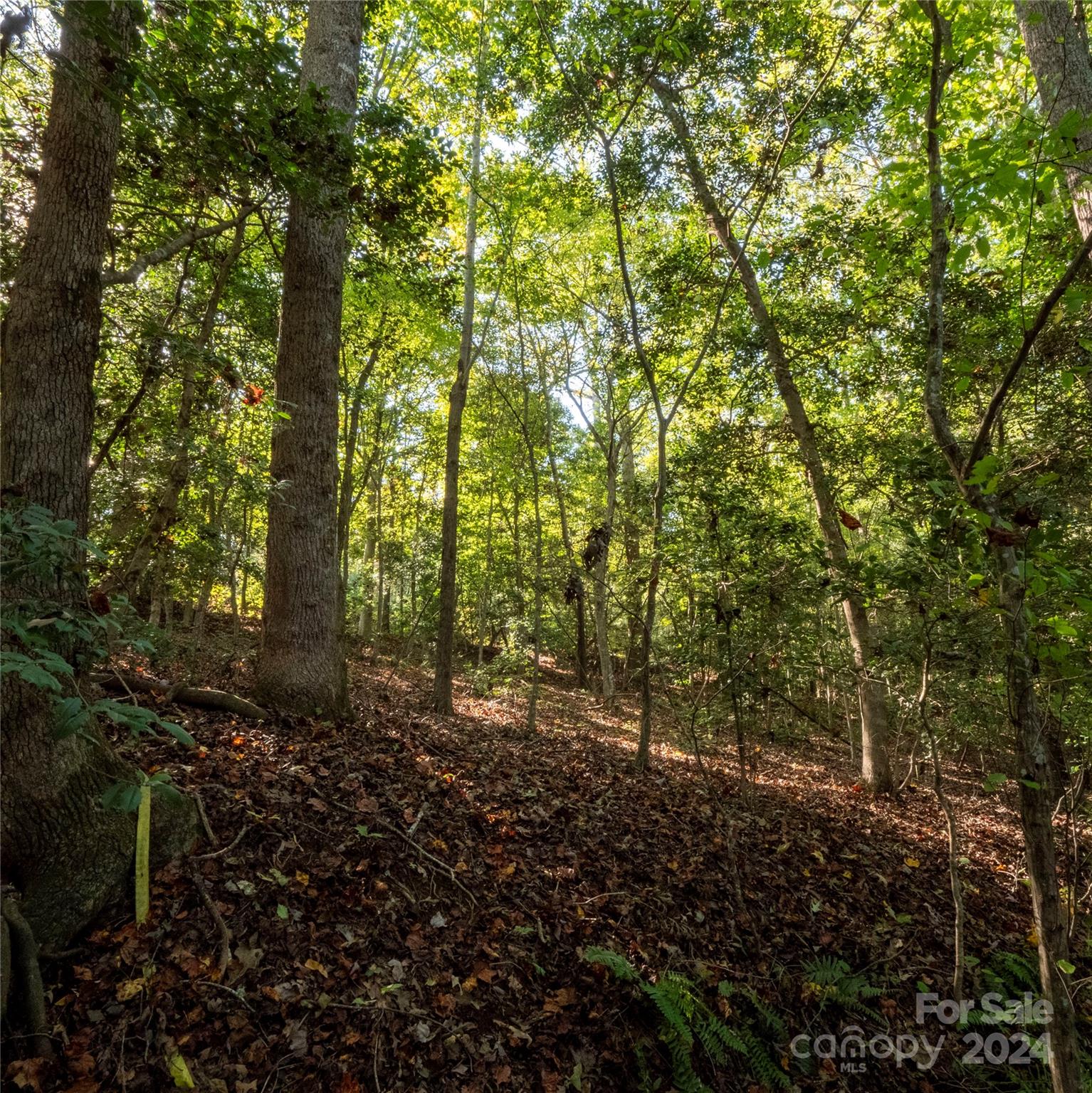 0 Fox Ridge Lane, Unit 17 & 18 Hickory, NC 28601 - Photo 7 of 19 Gallery Image 7