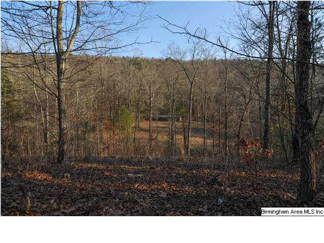 2468 Bear Creek Road Sterrett, AL 35147 - Photo 31 of 32