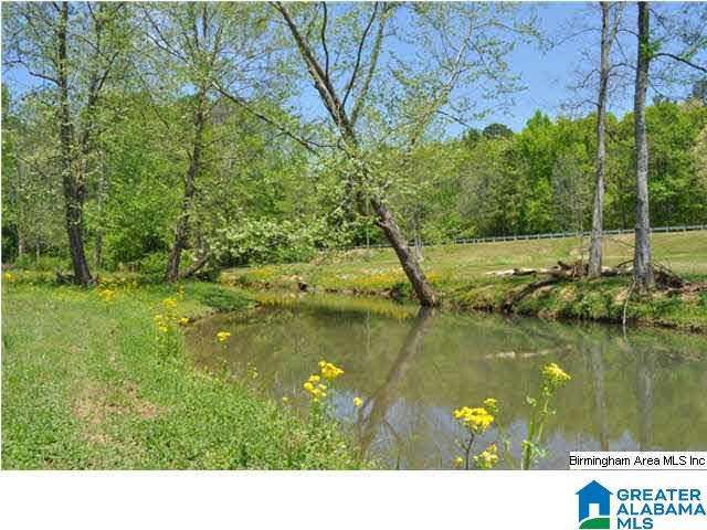 170 Legacy Ridge West, Unit 75 Springville, AL 35146 - Photo 8 of 11