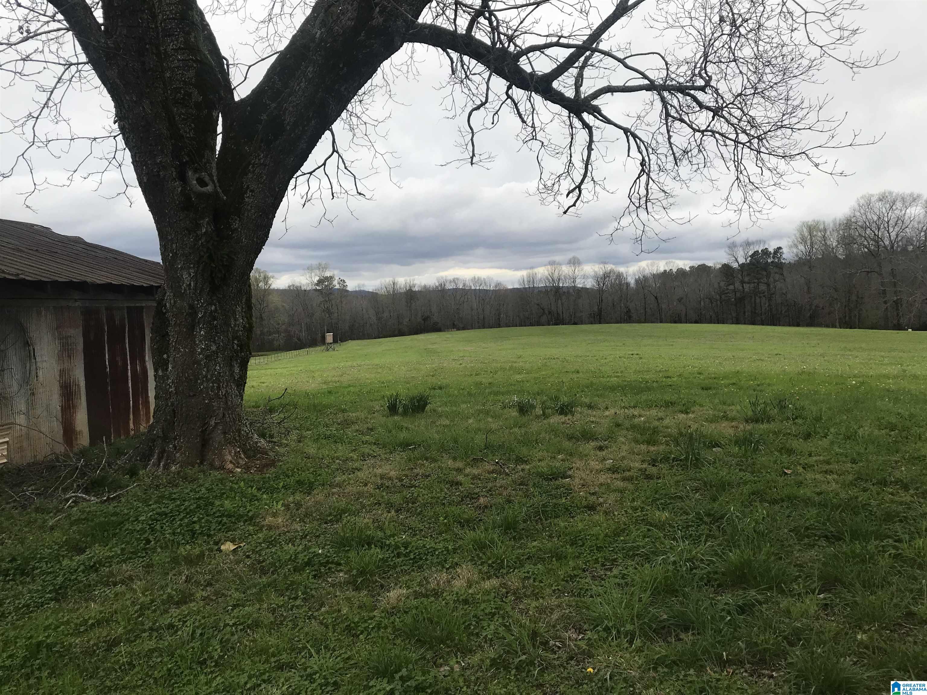 0 Highway 79, Unit 1 Cleveland, AL 35049 - Photo 5 of 10