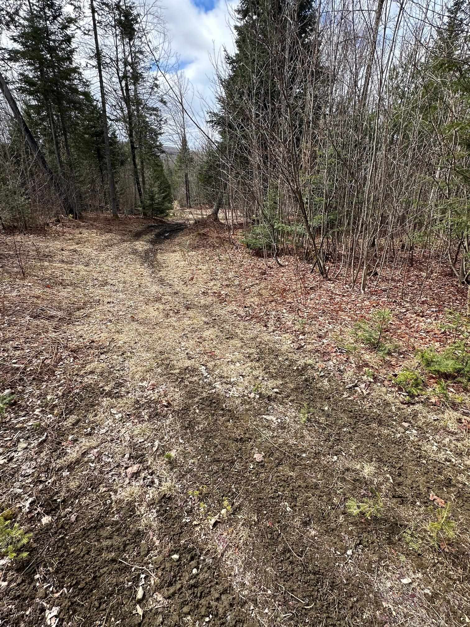 1412 Bean Pond Road Wheelock, VT 05851 - Photo 2 of 5