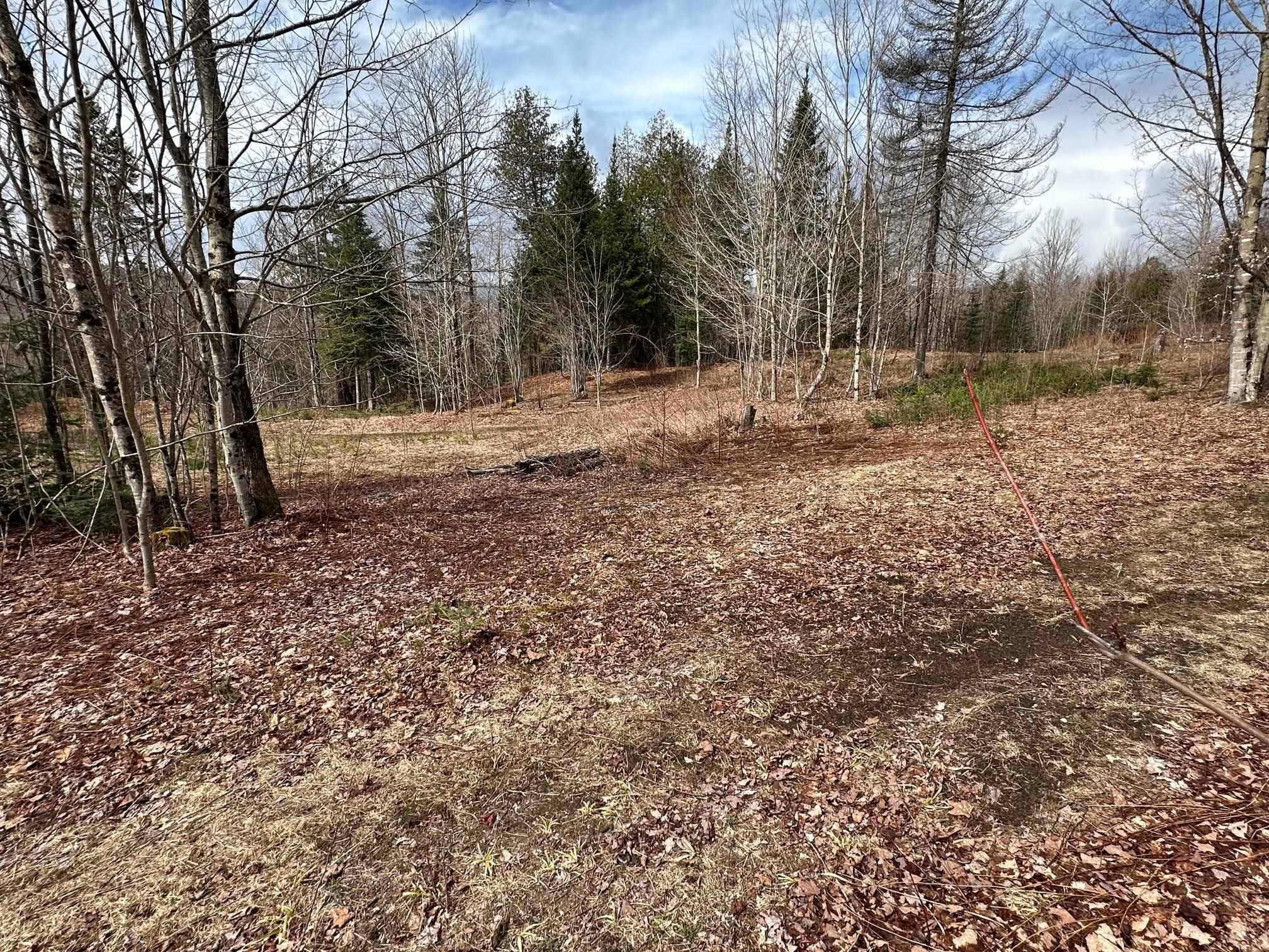 1412 Bean Pond Road Wheelock, VT 05851 - Photo 4 of 5