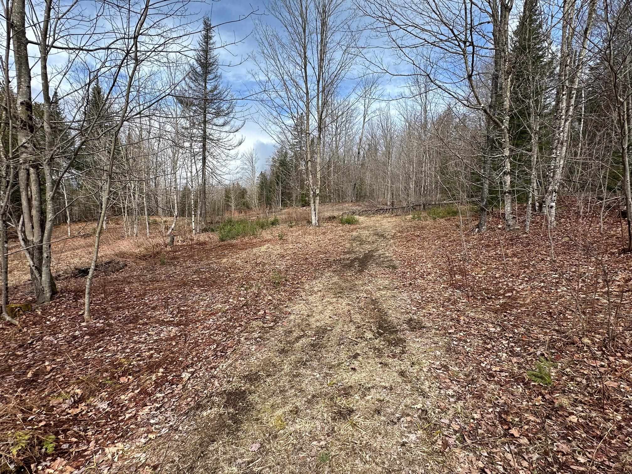 1412 Bean Pond Road Wheelock, VT 05851 - Photo 5 of 5