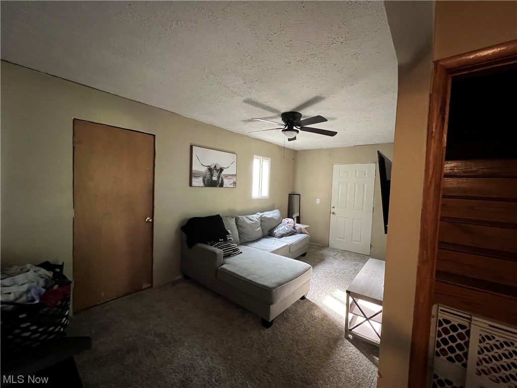 370 Dana's Run Road Newport, OH 45768 - Photo 8 of 20 Gallery Image 8
