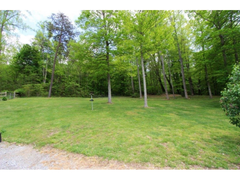 1179 Fordtown Road Jonesborough, TN 37659 - Photo 16 of 20 Back Yard