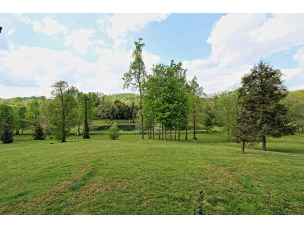 1179 Fordtown Road Jonesborough, TN 37659 - Photo 17 of 20 Front Porch View