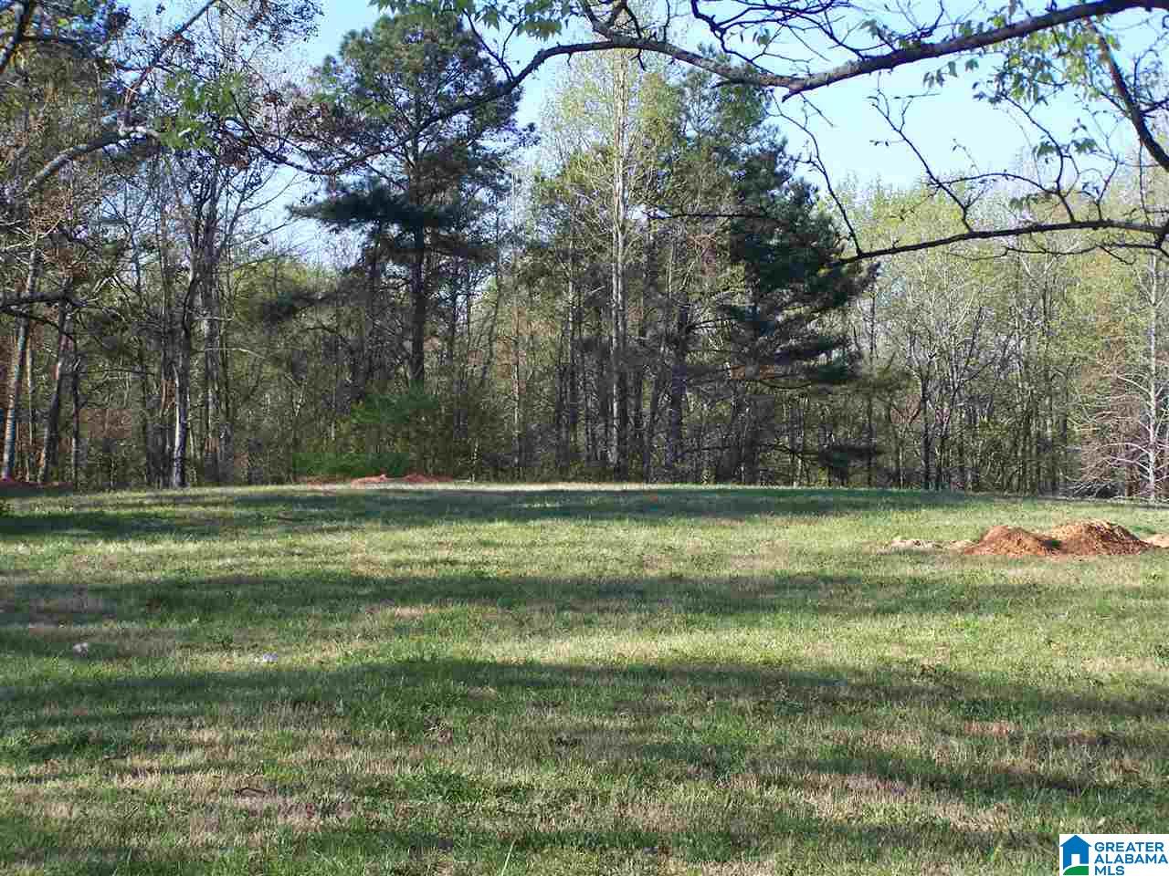 2768 Graves Gap Road Hayden, AL 35079 - Photo 2 of 2