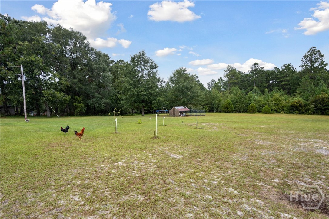 731 Deer Run Road Sylvania, GA 30467 - Photo 35 of 37