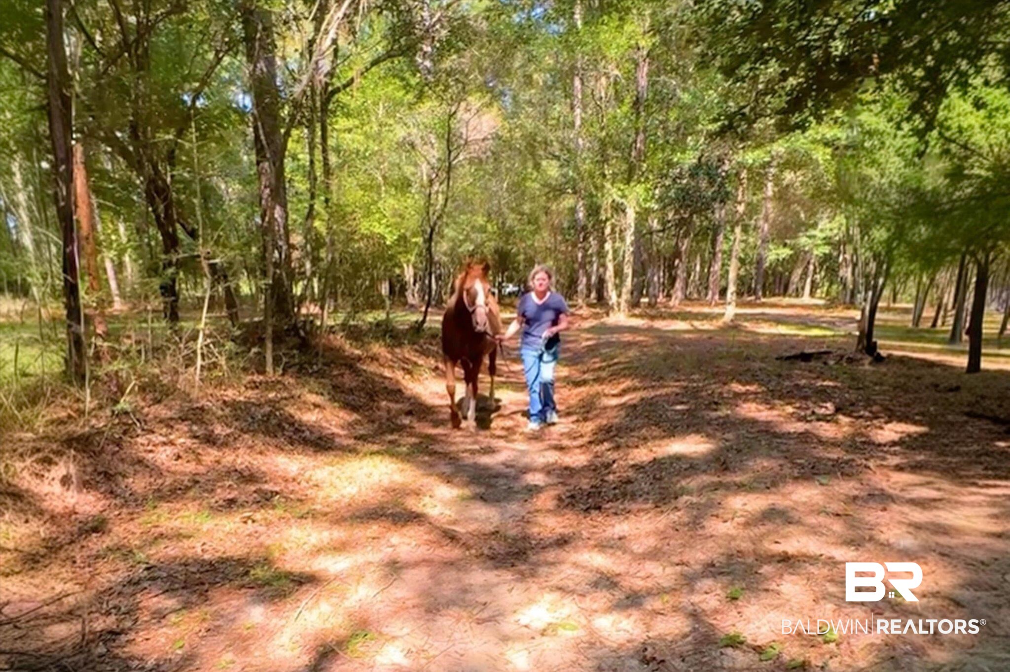 36001 Sibley Road Stapleton, AL 36578 - Photo 5 of 64 Enjoy walking your horse in the beautiful tree covered paths.