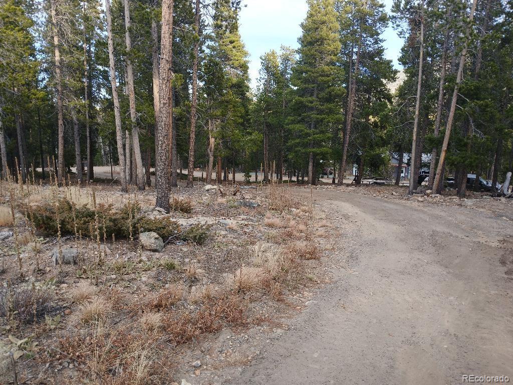 Mountain Meadows Black Hawk, CO 80422 - Photo 31 of 33