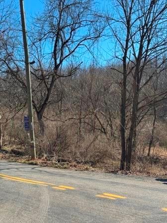 0 Brush Run Road Avella, PA 15312 - Photo 11 of 11 a view of a yard and a house