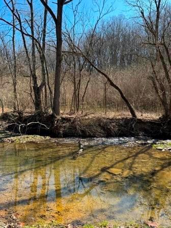0 Brush Run Road Avella, PA 15312 - Photo 3 of 11 a view of a swimming pool with a yard