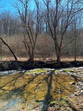 0 Brush Run Road Avella, PA 15312 - Photo 4 of 11 a view of a lake with a tree