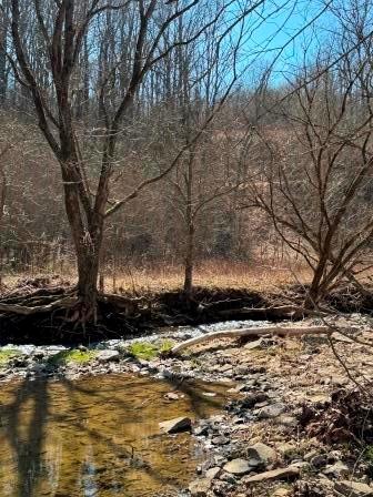 0 Brush Run Road Avella, PA 15312 - Photo 5 of 11 a view of house with a yard