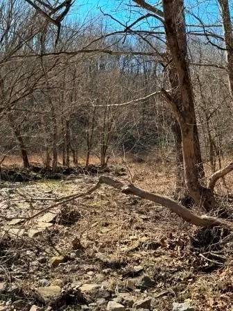 a view of a backyard of the house