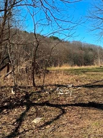 0 Brush Run Road Avella, PA 15312 - Photo 7 of 11 a view of a lake with mountain in the background