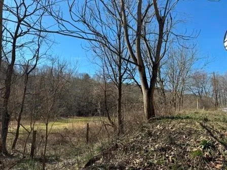 a view of backyard of a house