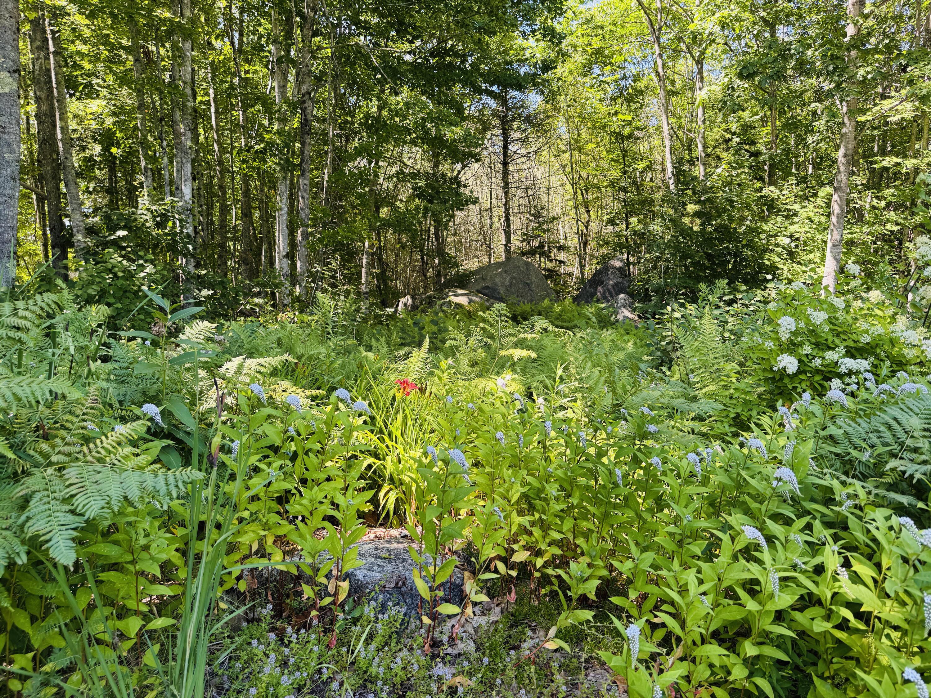 22 White Orchard Road Frankfort, ME 04438 - Photo 46 of 51 20250721_182408046_iOS