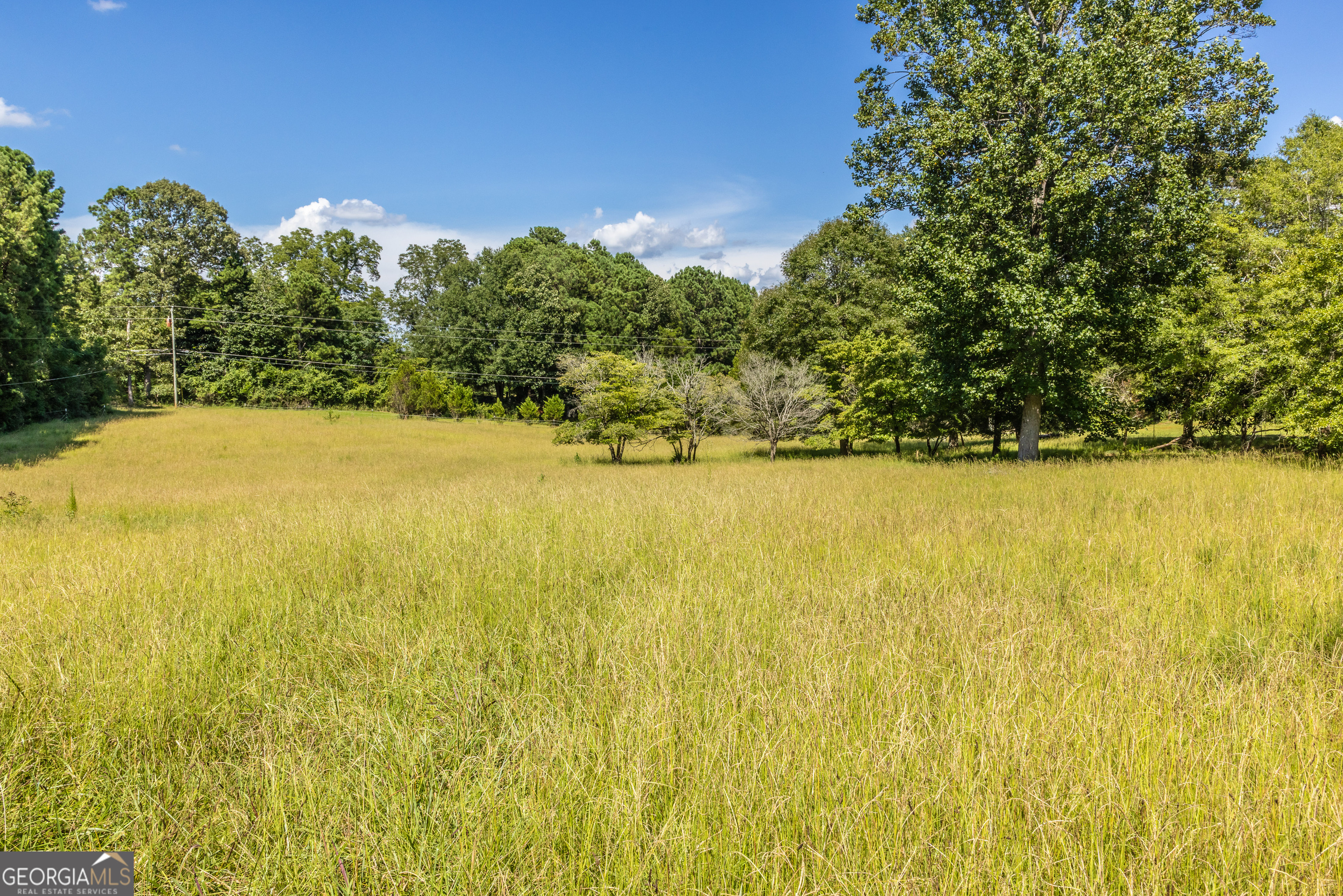 1730 Roland Road Thomaston, GA 30286 - Photo 23 of 55 a view of an ocean