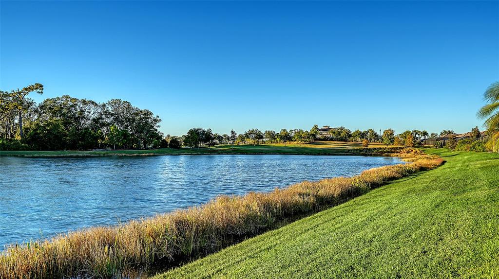 5914 Cessna Run Lakewood Ranch, FL 34211 - Photo 56 of 92 a view of a lake with houses in the back