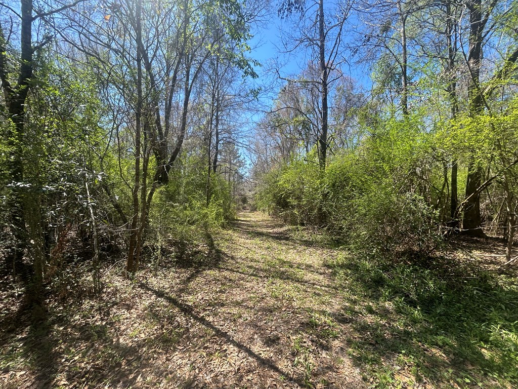923 Lakeview Road Slocomb, AL 36375 - Photo 40 of 45